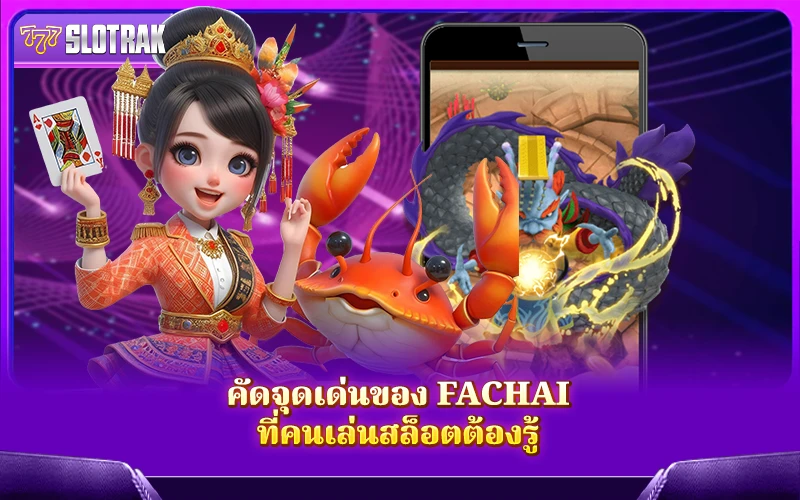 จุดแข็งของ Fachai ที่ทำให้ต่าง จุดแข็งของ Fachai ที่ทำให้ต่าง